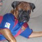 Preparado en el sofá para ver el Barça...jajaja